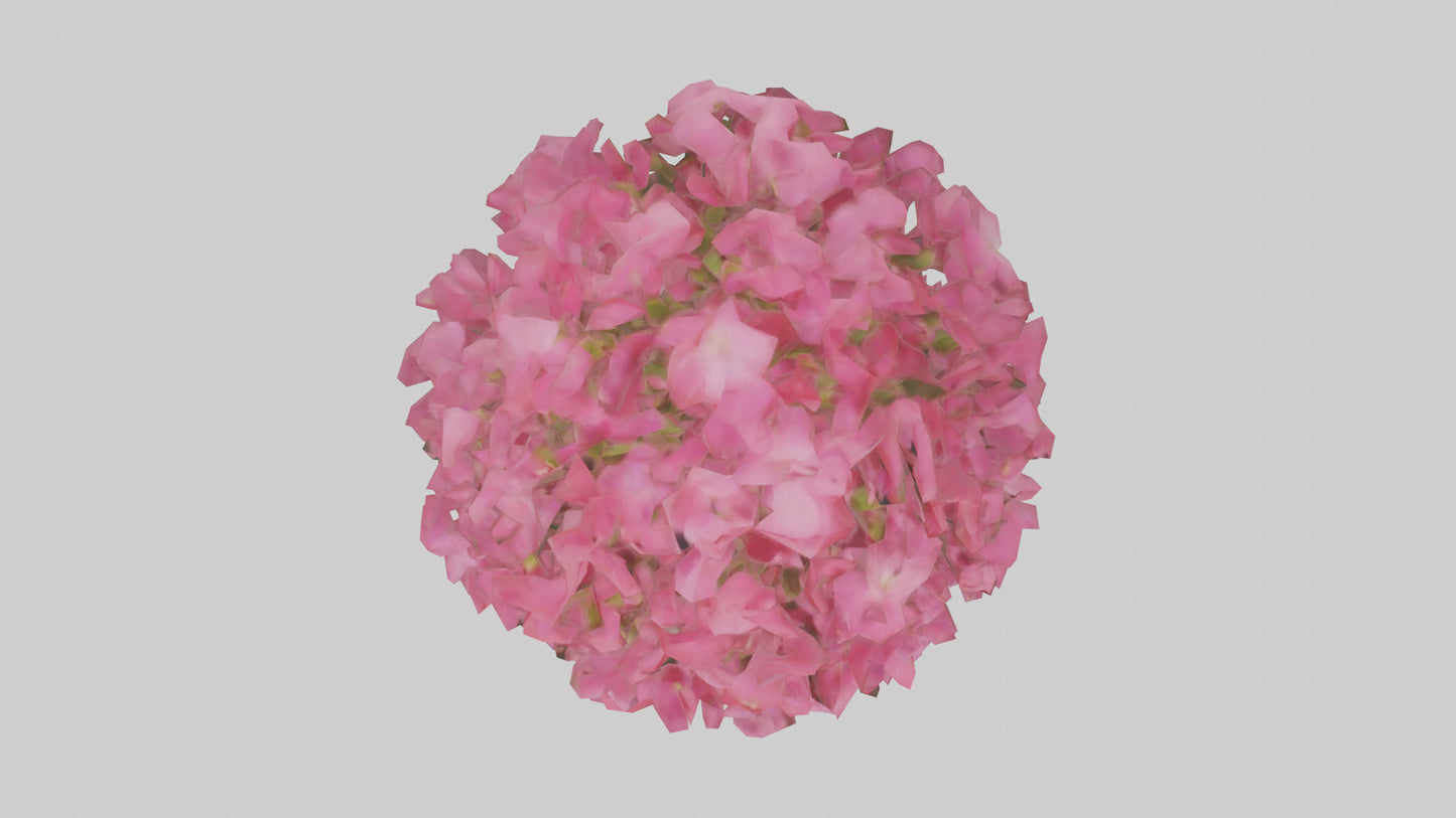 3D model Impatiens flower model VR / AR / low-poly
