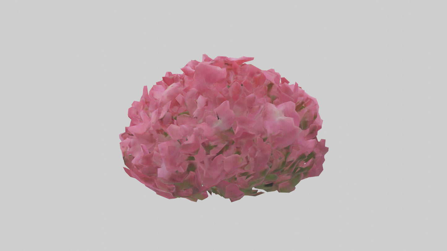 3D model Impatiens flower model VR / AR / low-poly