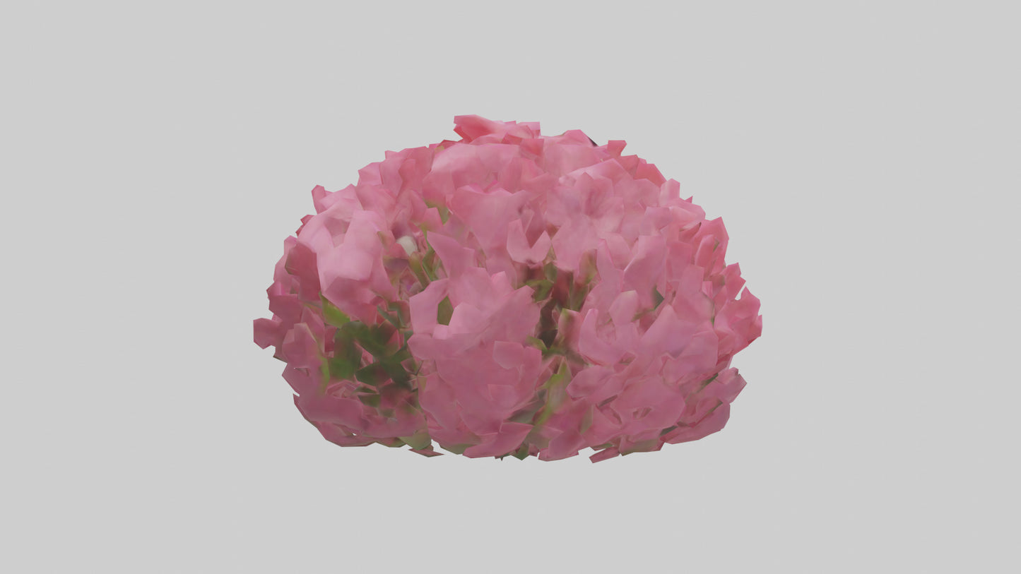 3D model Impatiens flower model VR / AR / low-poly