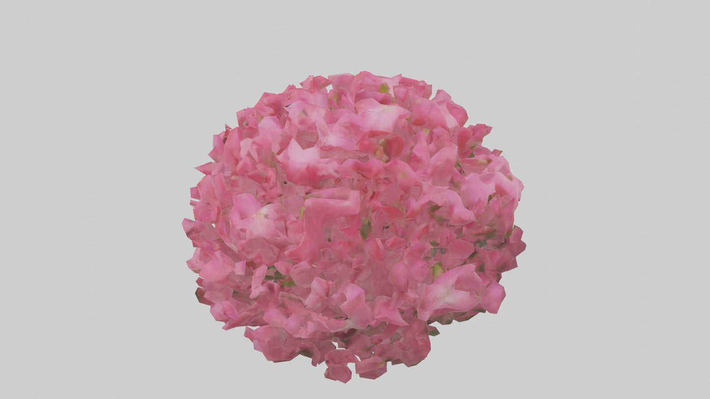 3D model Impatiens flower model VR / AR / low-poly