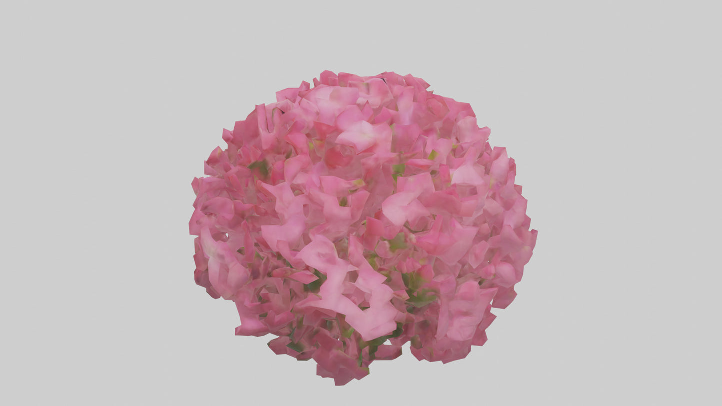 3D model Impatiens flower model VR / AR / low-poly