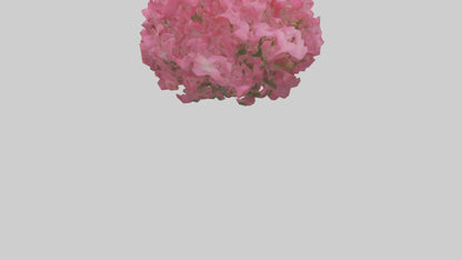 3D model Impatiens flower model VR / AR / low-poly