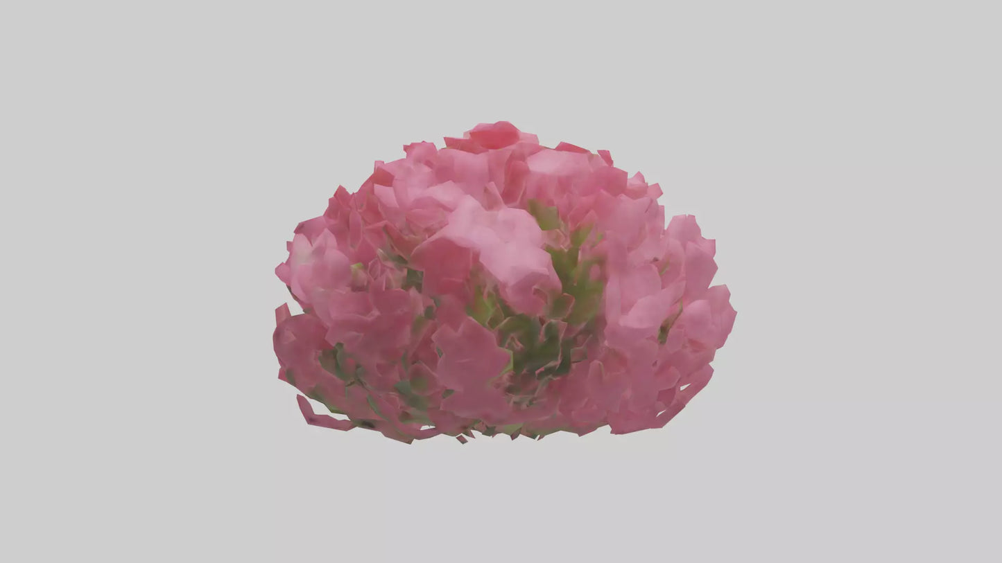 3D model Impatiens flower model VR / AR / low-poly
