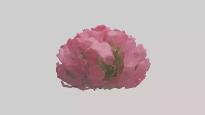 3D model Impatiens flower model VR / AR / low-poly