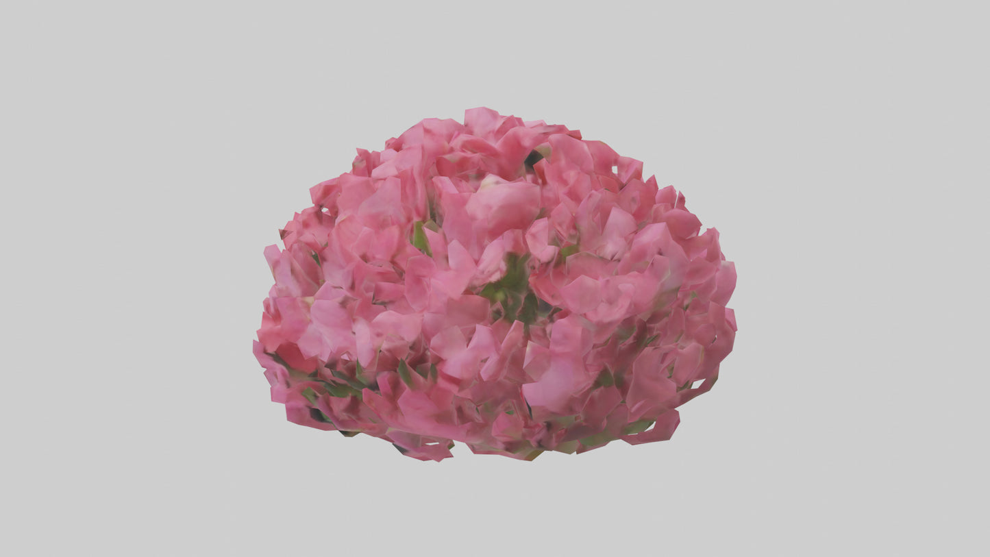 3D model Impatiens flower model VR / AR / low-poly