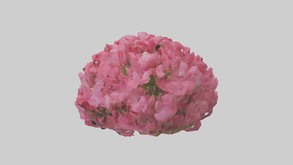 3D model Impatiens flower model VR / AR / low-poly