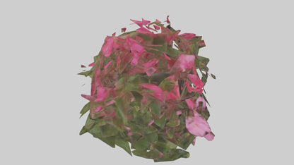3D model Impatiens model VR / AR / low-poly