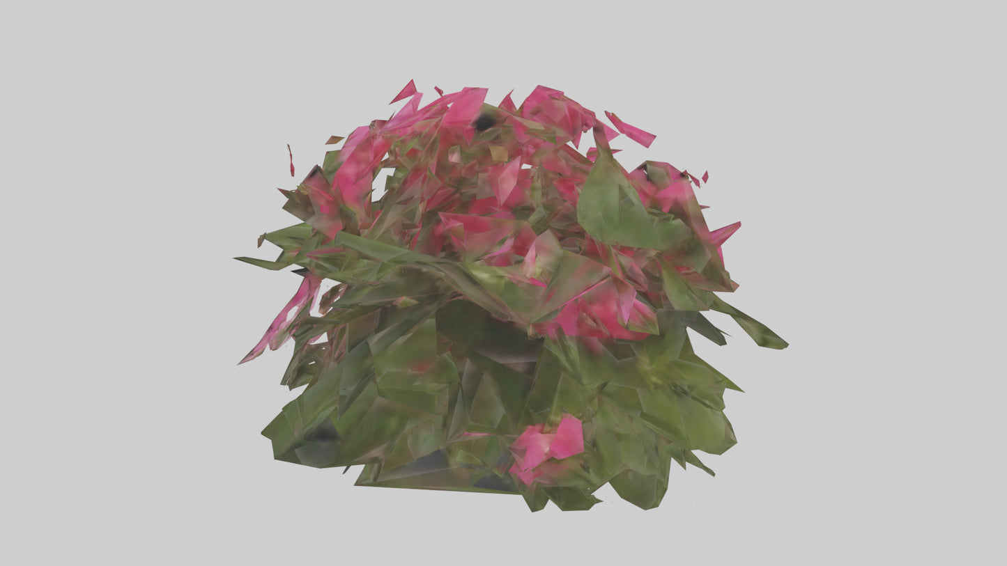 3D model Impatiens model VR / AR / low-poly