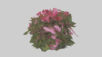 3D model Impatiens model VR / AR / low-poly