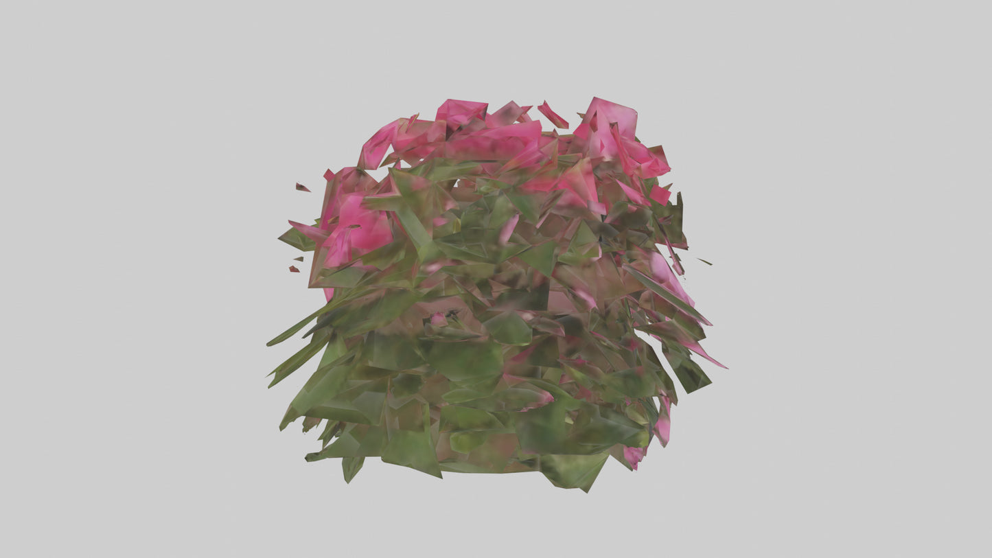 3D model Impatiens model VR / AR / low-poly