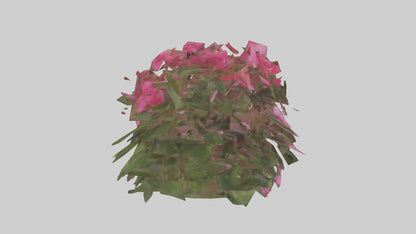 3D model Impatiens model VR / AR / low-poly