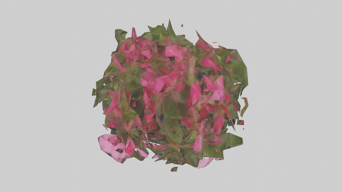 3D model Impatiens model VR / AR / low-poly