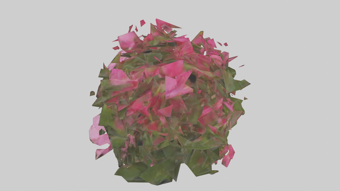 3D model Impatiens model VR / AR / low-poly