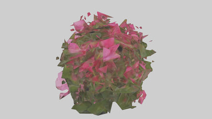 3D model Impatiens model VR / AR / low-poly