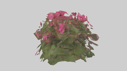3D model Impatiens model VR / AR / low-poly