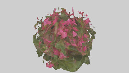 3D model Impatiens model VR / AR / low-poly