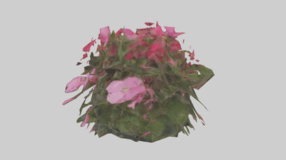 3D model Impatiens model VR / AR / low-poly