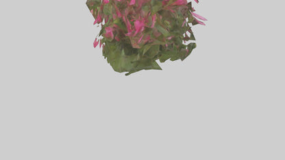 3D model Impatiens model VR / AR / low-poly