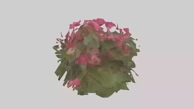 3D model Impatiens model VR / AR / low-poly