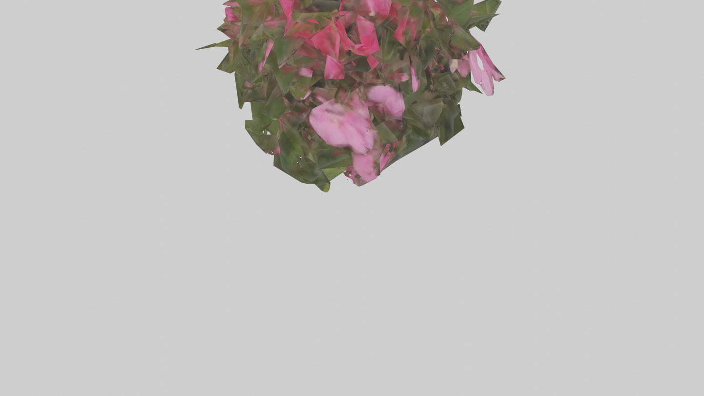 3D model Impatiens model VR / AR / low-poly