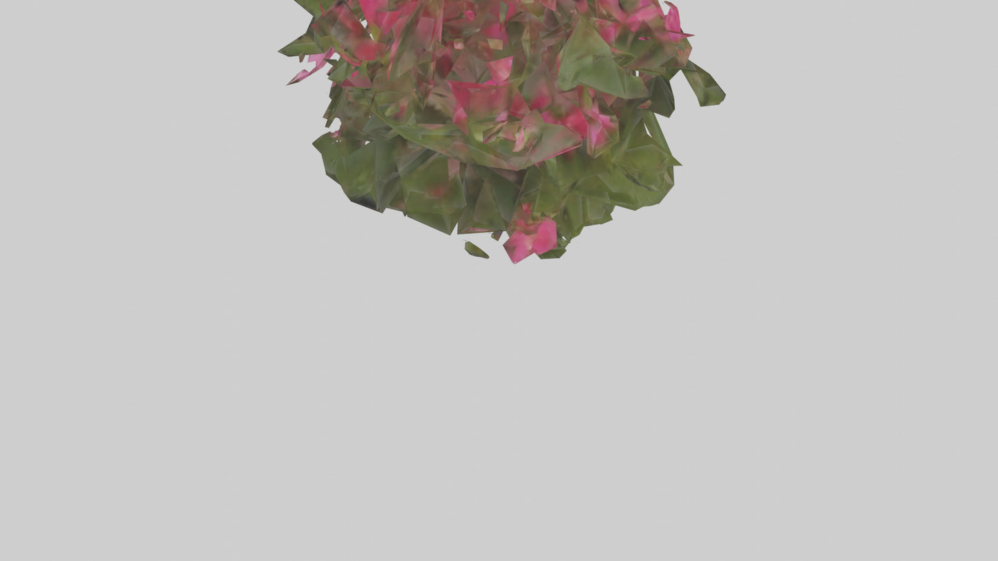 3D model Impatiens model VR / AR / low-poly