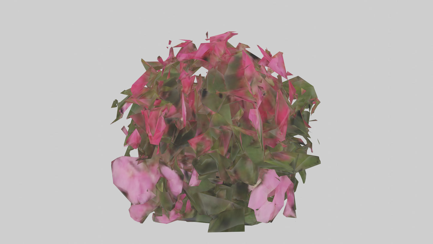 3D model Impatiens model VR / AR / low-poly