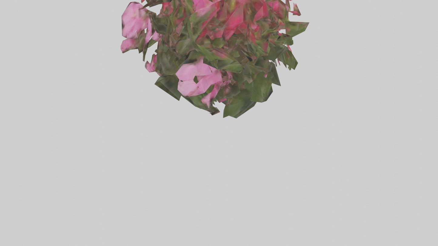 3D model Impatiens model VR / AR / low-poly