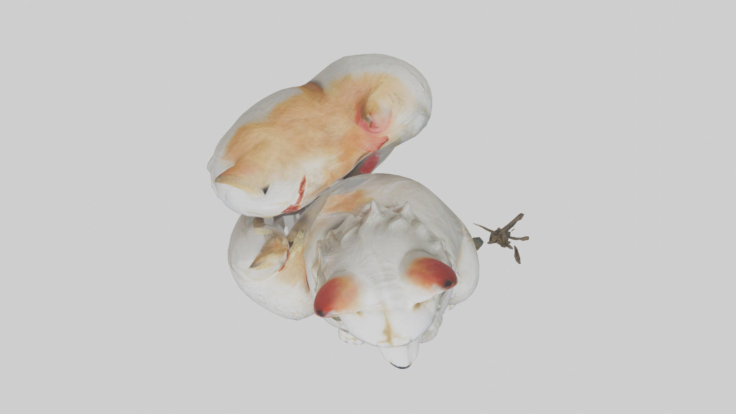 Inari statue model VR / AR / low-poly