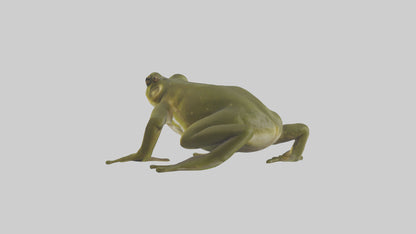 Indian Bullfrog croaking model VR / AR / low-poly