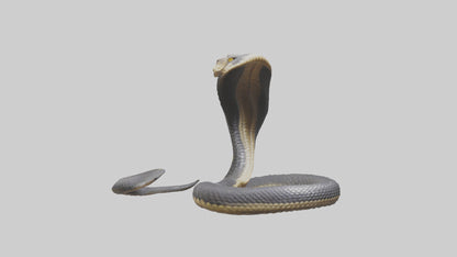 3D model Indian Cobra rearing model VR / AR / low-poly