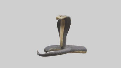 3D model Indian Cobra rearing model VR / AR / low-poly