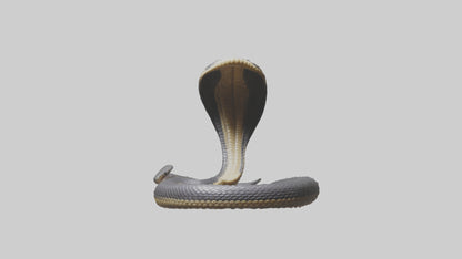 3D model Indian Cobra rearing model VR / AR / low-poly