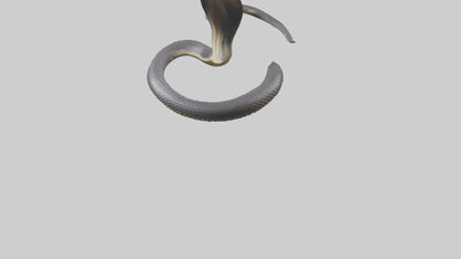 3D model Indian Cobra rearing model VR / AR / low-poly