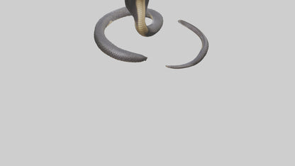 3D model Indian Cobra rearing model VR / AR / low-poly