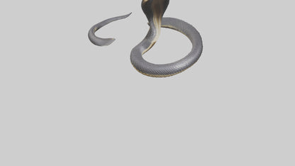 3D model Indian Cobra rearing model VR / AR / low-poly