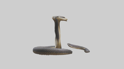 3D model Indian Cobra rearing model VR / AR / low-poly