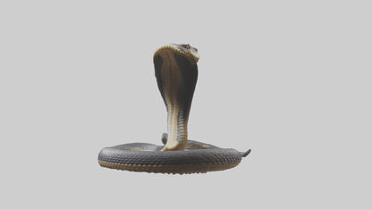 3D model Indian Cobra rearing model VR / AR / low-poly