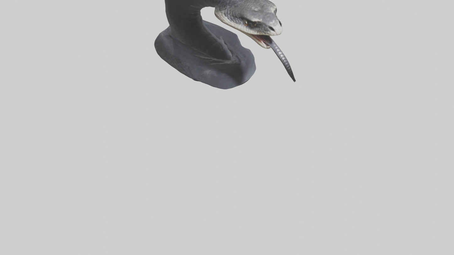 3D model Indian Cobra spreading hood model VR / AR / low-poly