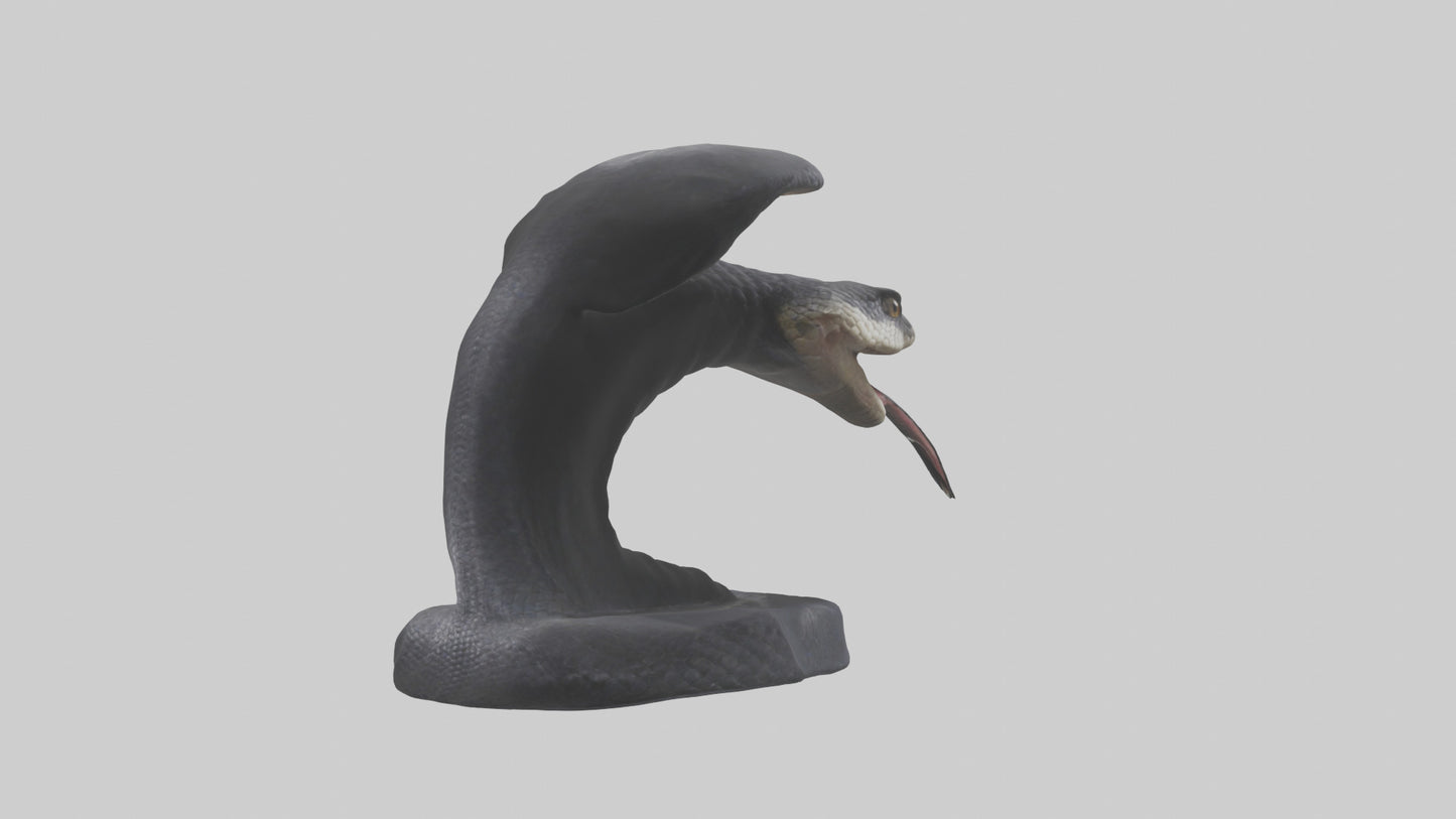 3D model Indian Cobra spreading hood model VR / AR / low-poly