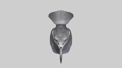 3D model Indian Cobra spreading hood model VR / AR / low-poly