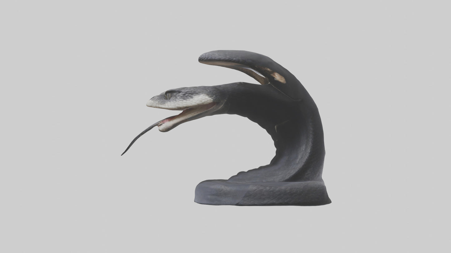 3D model Indian Cobra spreading hood model VR / AR / low-poly