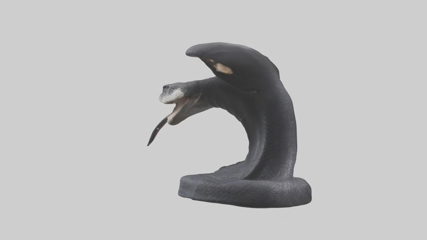 3D model Indian Cobra spreading hood model VR / AR / low-poly