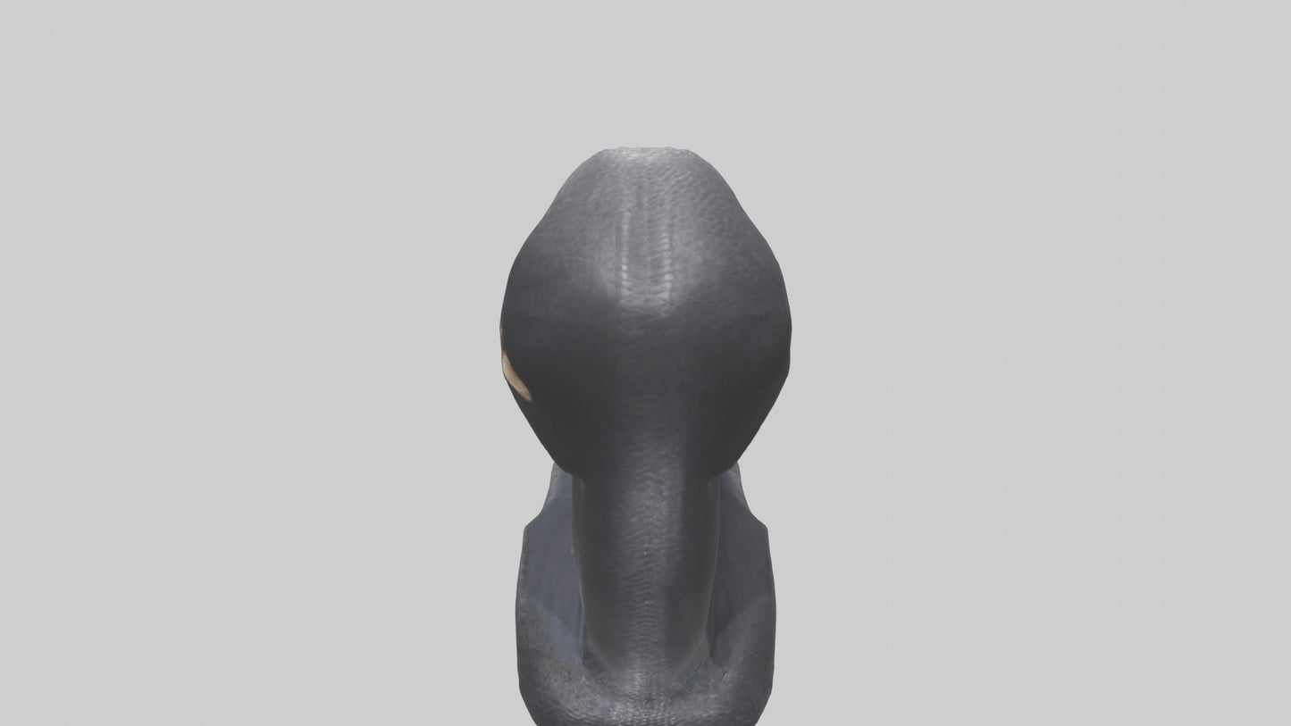 3D model Indian Cobra spreading hood model VR / AR / low-poly