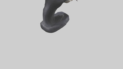 3D model Indian Cobra spreading hood model VR / AR / low-poly
