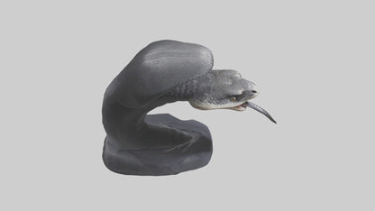 3D model Indian Cobra spreading hood model VR / AR / low-poly
