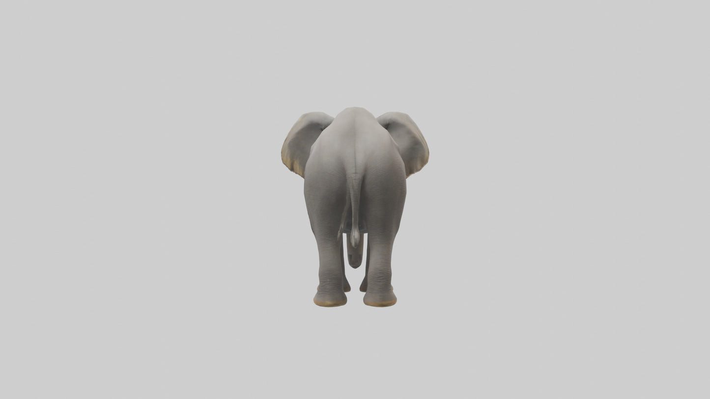 3D model Indian Elephant foraging model VR / AR / low-poly