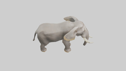 3D model Indian Elephant foraging model VR / AR / low-poly