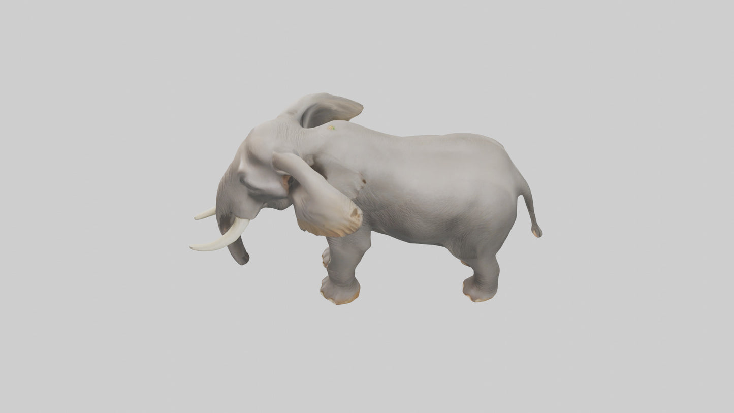 3D model Indian Elephant foraging model VR / AR / low-poly