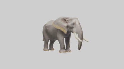 3D model Indian Elephant foraging model VR / AR / low-poly