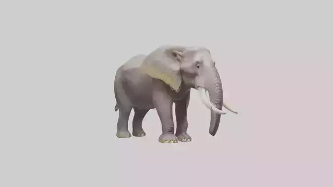 3D model Indian Elephant foraging model VR / AR / low-poly